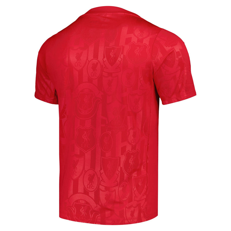 Liverpool Nike 2024/25 Academy Pro Pre-Match Top - Red